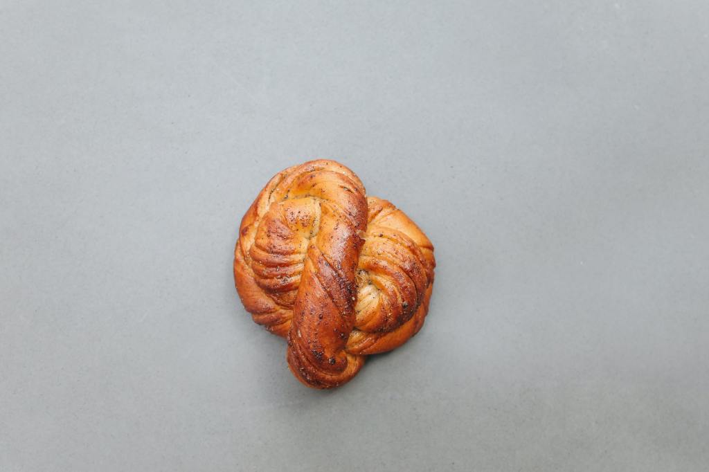 Click to view the program!